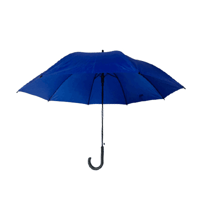 24" Auto Open Umbrella