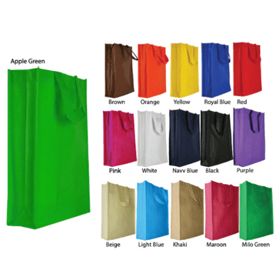 100g - ECO Non Woven Bag