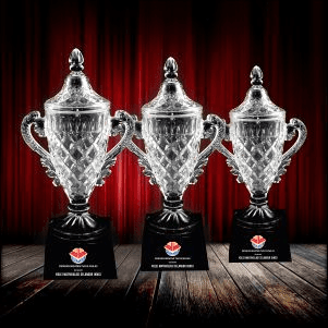 Exclusive Crystal Trophy