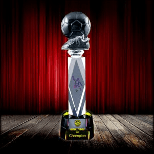 Exclusive Crystal Trophy
