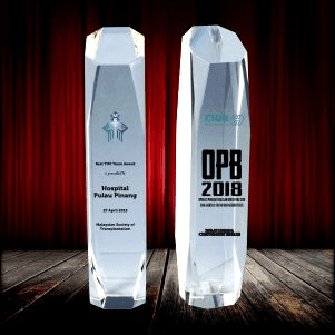 Exclusive Crystal Trophy