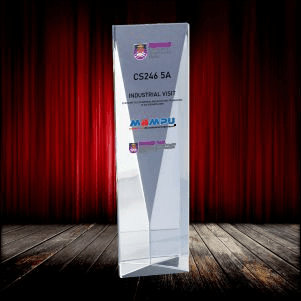 Exclusive Crystal Trophy