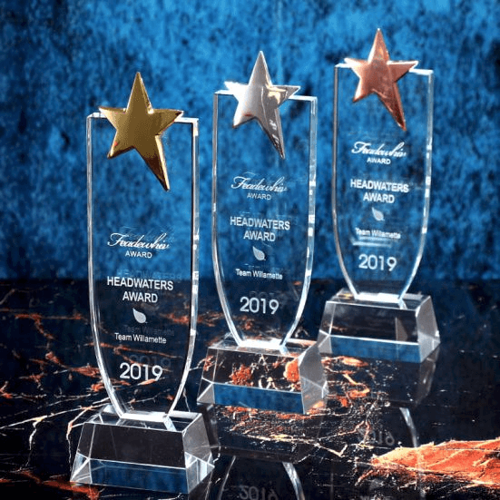 Exclusive Crystal Trophy
