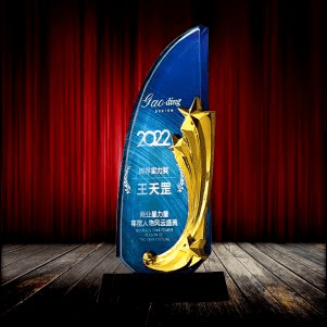 Exclusive Metal Crystal Award