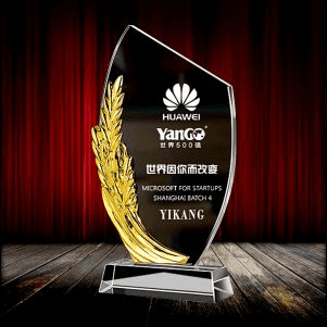 Exclusive Metal Crystal Award