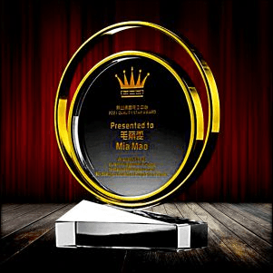 Exclusive Metal Crystal Award