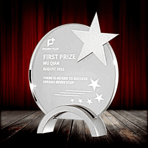 Exclusive Metal Crystal Award
