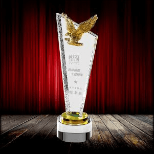 Exclusive Metal Crystal Award