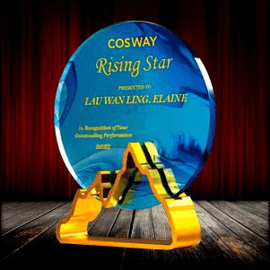 Exclusive Metal Crystal Award