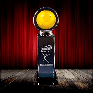 Fusion Crystal Metal Award