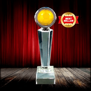 Fusion Crystal Metal Award
