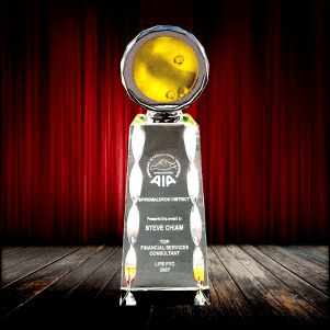 Fusion Crystal Metal Award