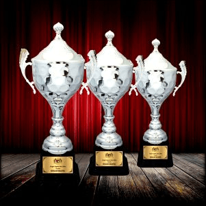 Metal Trophy