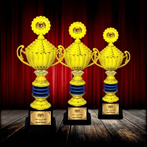 Metal & Plastic Trophy