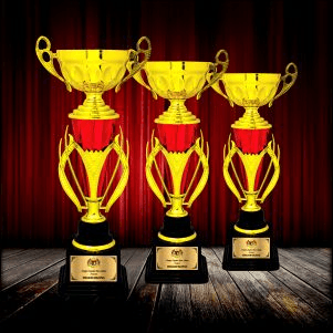 Metal & Plastic Trophy