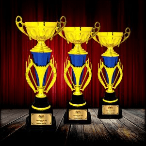 Metal & Plastic Trophy