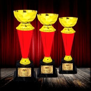 Metal & Plastic Trophy