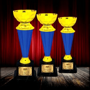 Metal & Plastic Trophy
