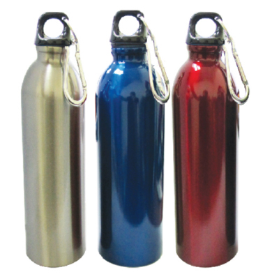 Stainless Steel Bottle 1 (V23) - 650ml